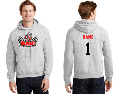 Northwestern Volleyball -Hoodie