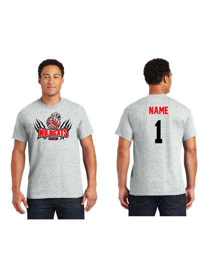 Northwestern Volleyball- Tshirt
