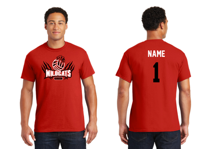 Northwestern Volleyball- Tshirt